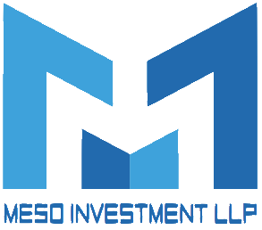 MESO Investment
